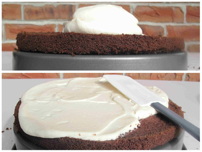 Frosting chocolate-coconut cake