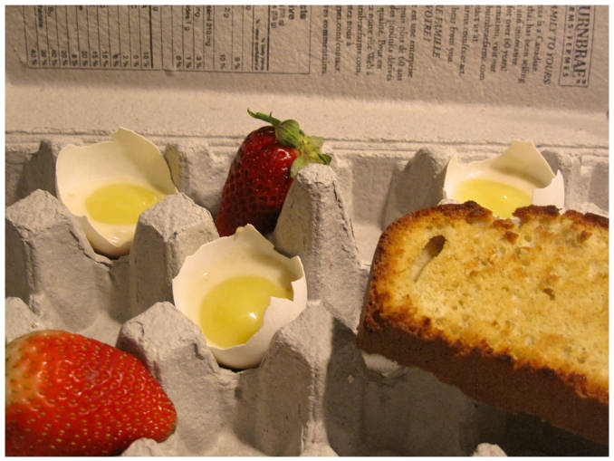 "Eggs and toast" in an egg carton