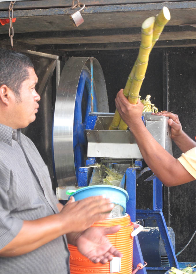 Sugar cane juice being squeezed