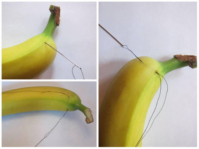 Sewing a banana to pre-slice it