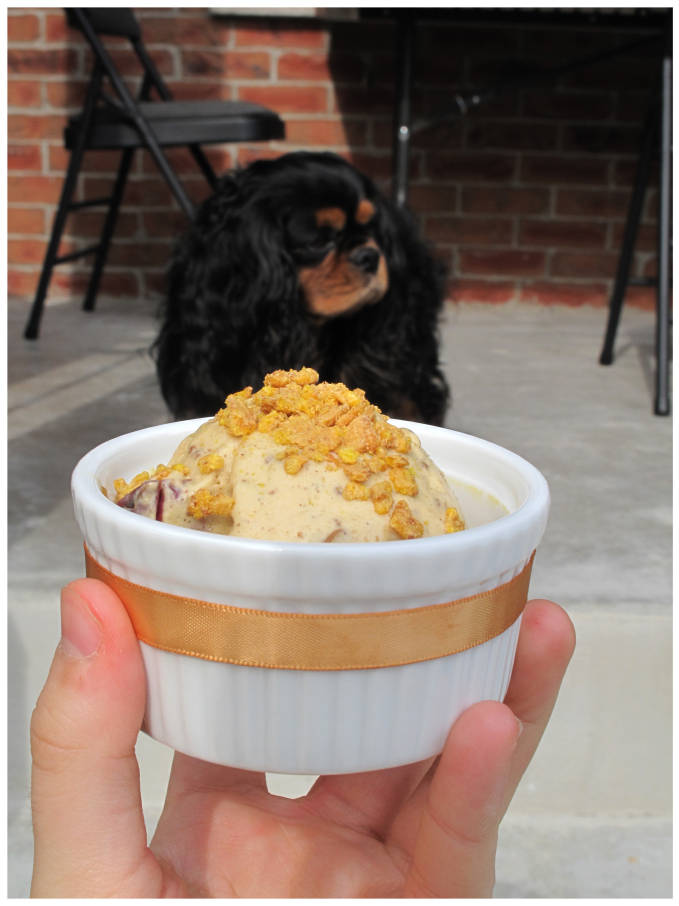 Peach ice cream with a dog in the background