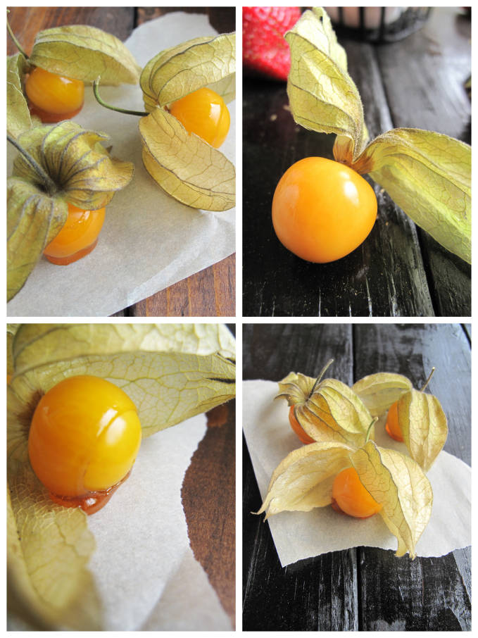 Physalis, cape gooseberry, Chinese lantern - whatever you call it it's delicious!