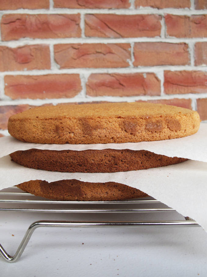 Chiffon cake, ready for frosting