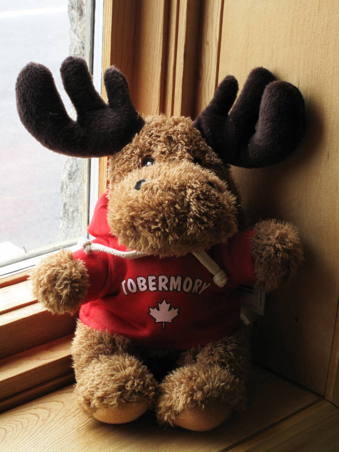 Tobermory souvenir moose