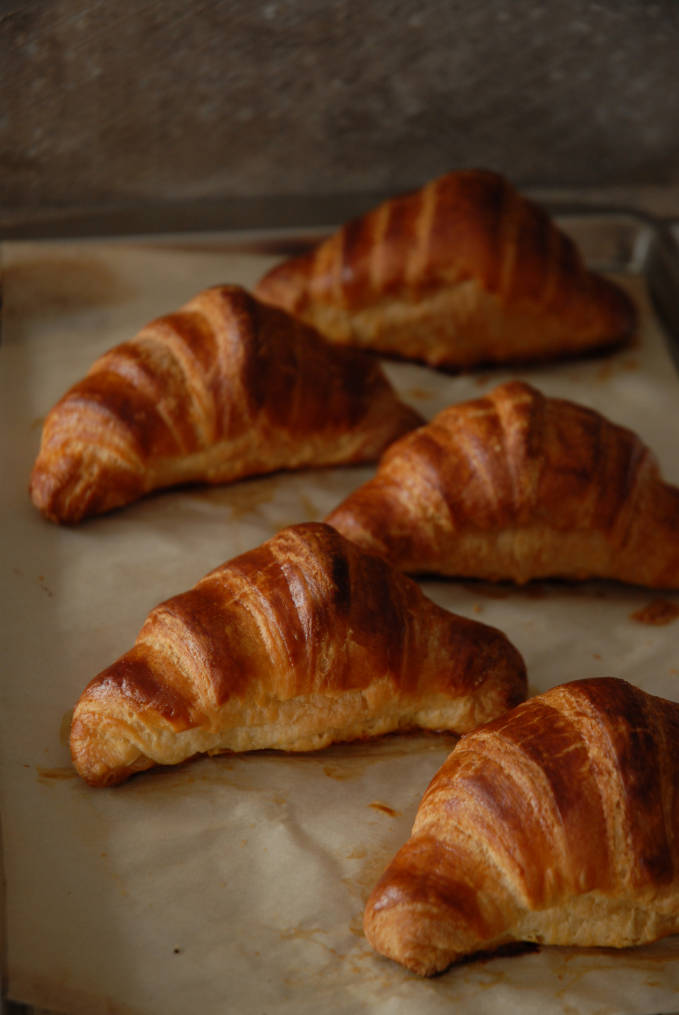 Homemade French croissants on a baking sheet