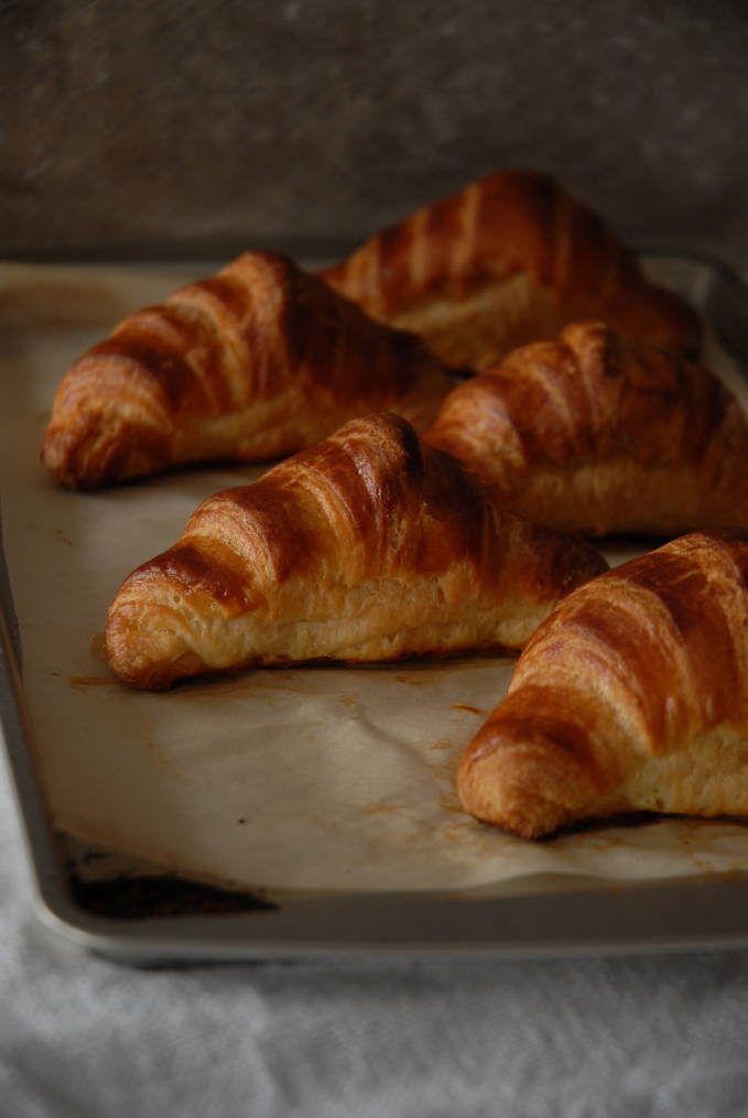 Homemade French croissants on a baking sheet