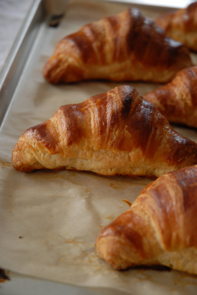 Homemade French croissants on a baking sheet