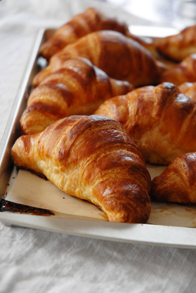 Homemade, fresh, and fluffy croissants