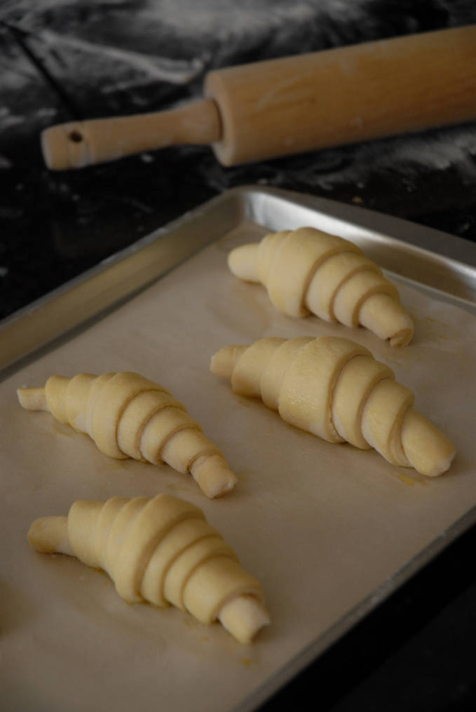 French croissants prior to proofing