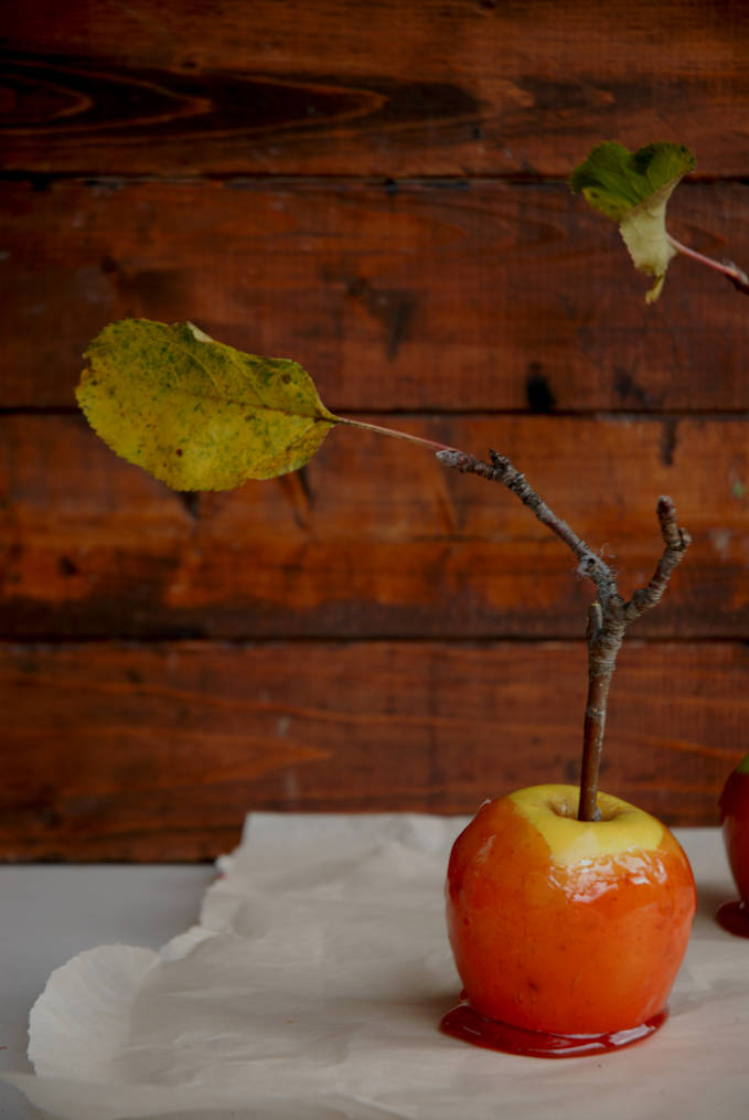 Candy apple with a branch