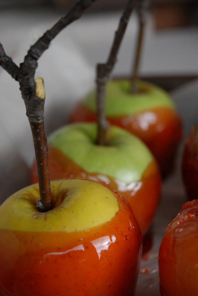 Assorted candy apples with branches for sticks