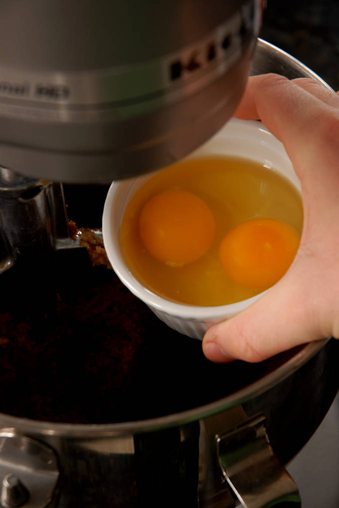 Adding eggs to gingerbread cookie dough. Click for a full photo tutorial on how to make amazing gingerbread! Perfect for the holidays #christmas