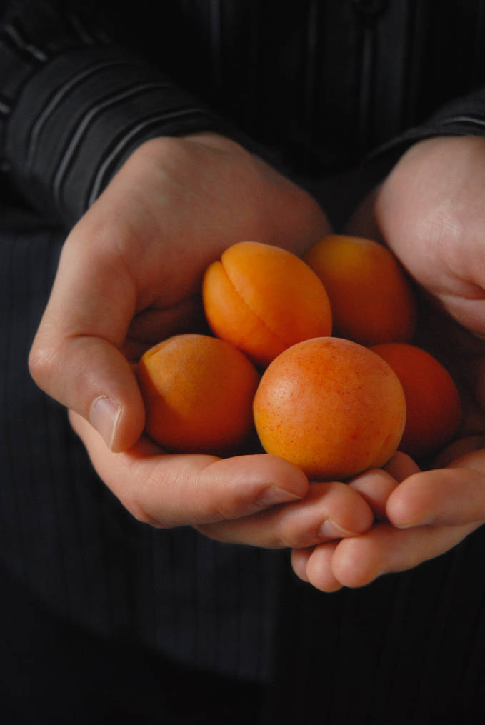 Handful of apricots. Pretty, right? Well, you'll have to click to find out what I did with 'em...